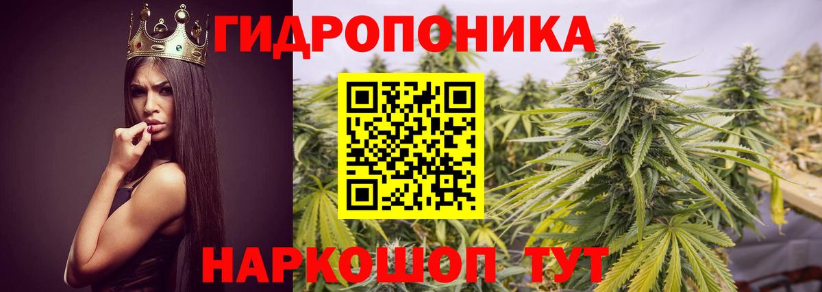Белая Калитва  Каннабис VHQ  Шишки марихуана конопля  Вход с VPN  Конопля ГИДРОПОН  Бошки марихуана тримм 